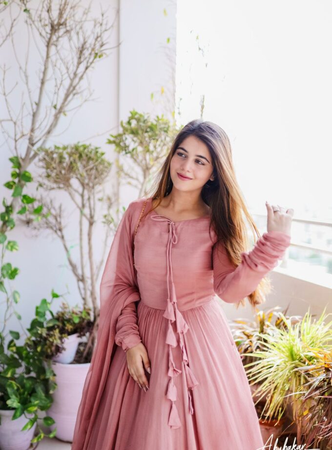 Function Wear Lace Work Georgette Fabric Gown